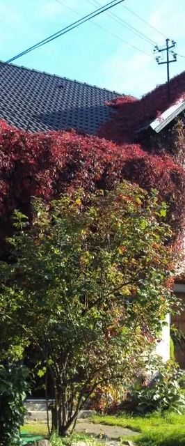 Apartamenty Stara Stajnia na Krańcu Świata