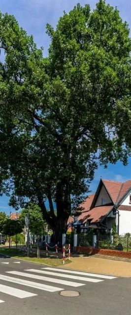 Złota Regalinda & Spa Międzyzdroje