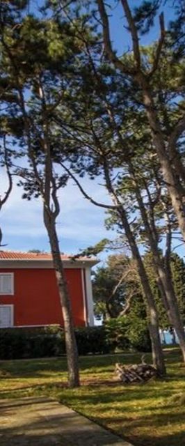 Apartman Valdepian Savudrija