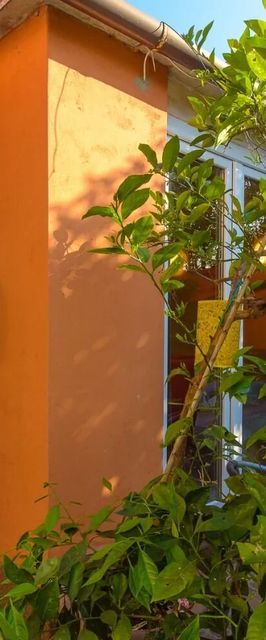 Apartment Orange Banjole