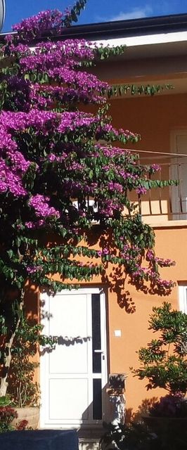 Apartments Midi Petrcane