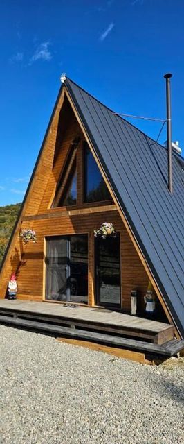 La Cabana lui Matei Paltin