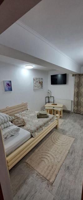 Alina's Apartament Sinaia