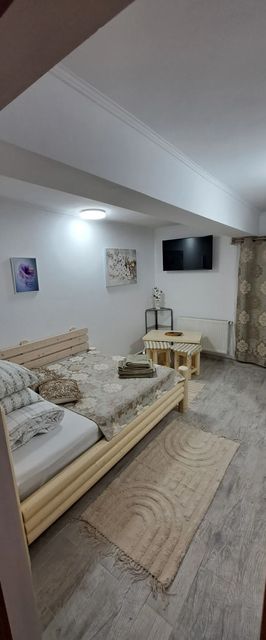 Alina's Apartament Sinaia