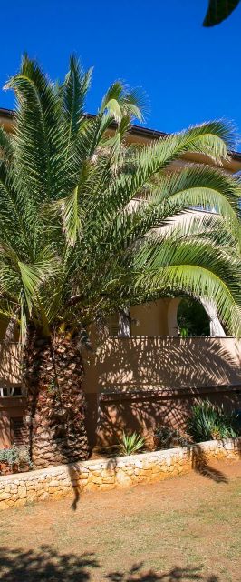 Apartments Lea Mandre