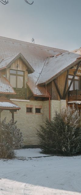 Pensiunea Csató Borzont