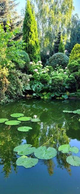 Duży dom wakacyjny 4 sypialnie blisko Morza 8-10 osób Międzyzdroje Wyspa Wolin 