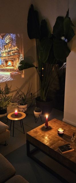 Black Walnut House Homorâciu