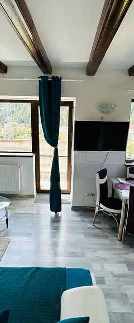 Panoramic View Apartment Buşteni