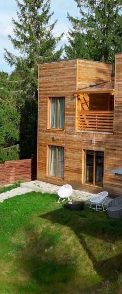 Cabana 2 Towers Mărișel