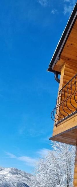 La casa din deal Vișeu de Sus