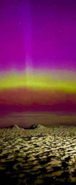 Diuna Apartamenty 365