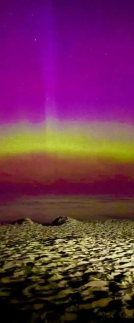 Diuna Apartamenty 365