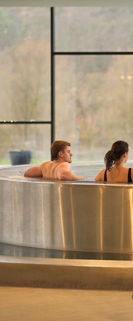 Hotel Essence Pogány