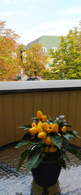 Chili Apartman Harkány