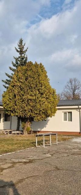 Casa Cataleya Boldeşti-Scăeni