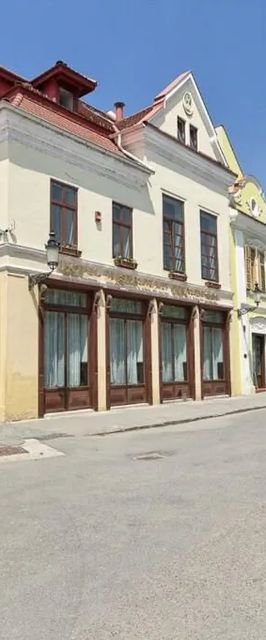 Hotel Traube Mediaș