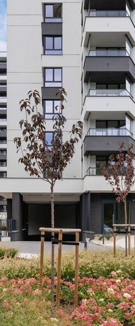 Korfantego 97 | Stylowy Apartament | Parking Katowice