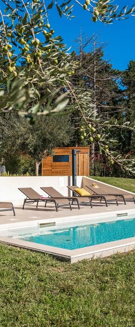 Villa Casa Venus s bazenom Visnjan