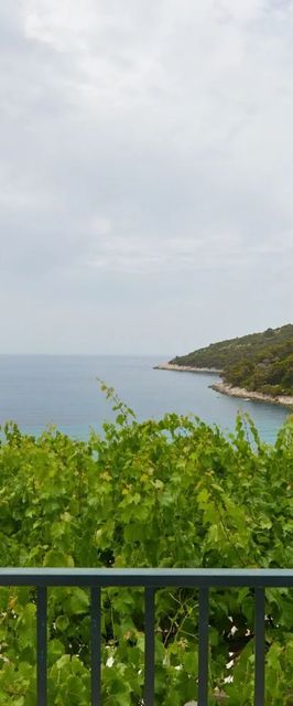 Apartments Hansal Saplunara