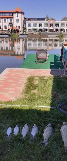 Művészház Nyaraló Békésszentandrás