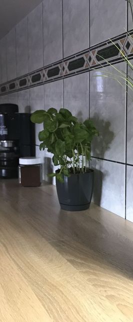 Tahiti Apartman Hajdúszoboszló