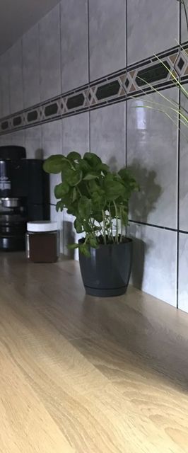 Tahiti Apartman Hajdúszoboszló