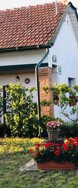 Kupica Vendégház Abádszalók