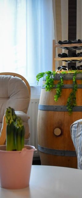 Four Seasons Thermal Apartman Mosonmagyaróvár