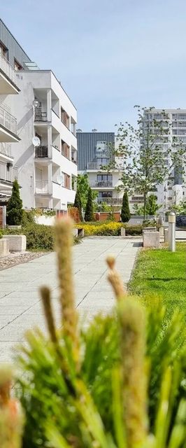 visit baltic - Platan Family CH12