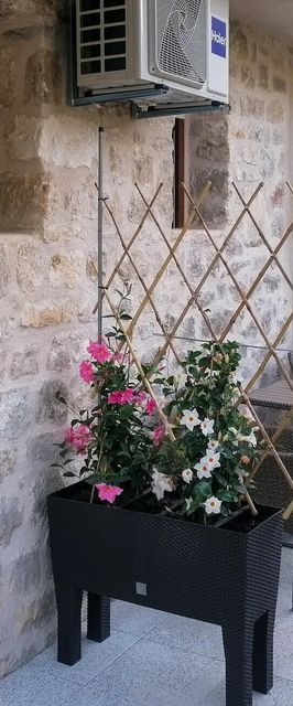 Apartman Hvar - CDH614