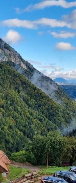 Pensiunea Mosorel Măgura