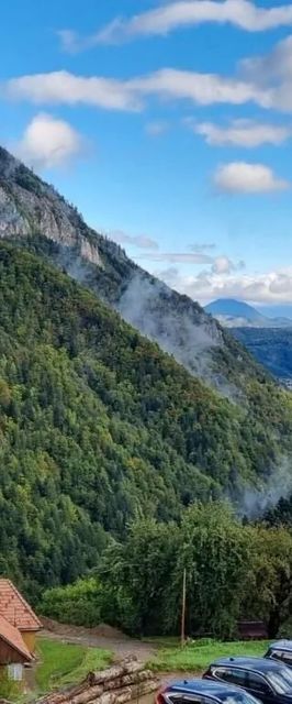 Pensiunea Mosorel Măgura