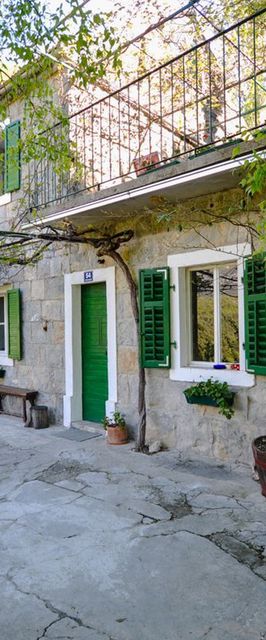 Apartment Nature Slime