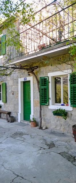 Apartment Nature Slime