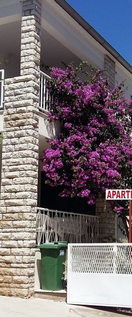 Apartments Mateo Primosten