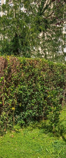 Apartments Four seasons Zadar