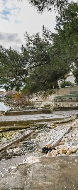 Apartments Žana Arbanija