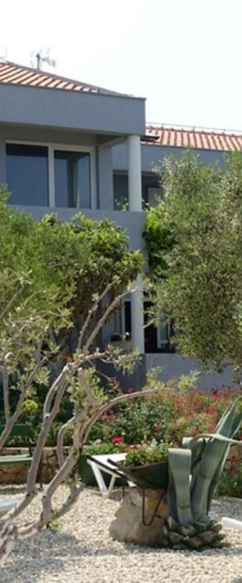 Apartments Ivo Zaton