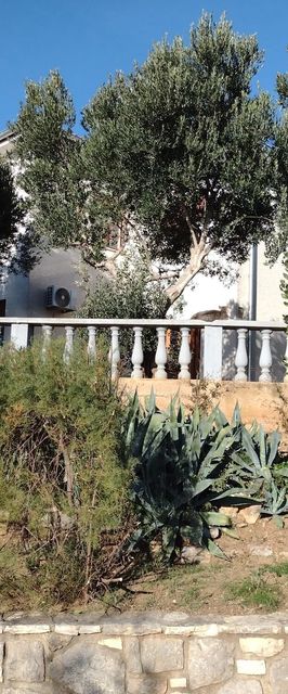 Apartment Anchi Povile