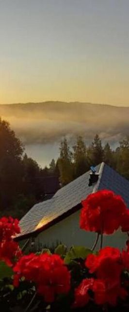 Arkadia Dom nad Jeziorem Solińskim Wołkowyja