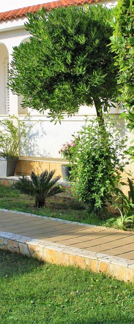 Apartments Boris i Snježana Barbat