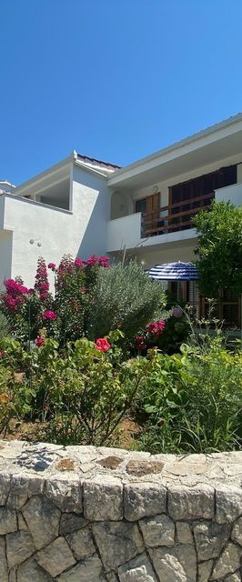 House Katy Peracko blato