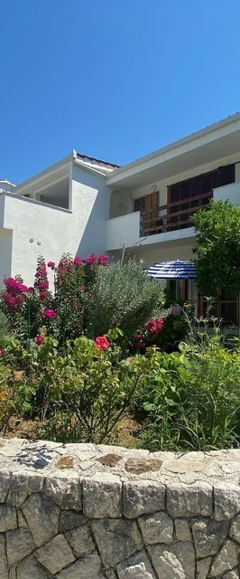 House Katy Peracko blato