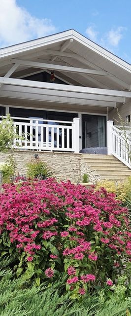 Panoráma Cottage Nyúl