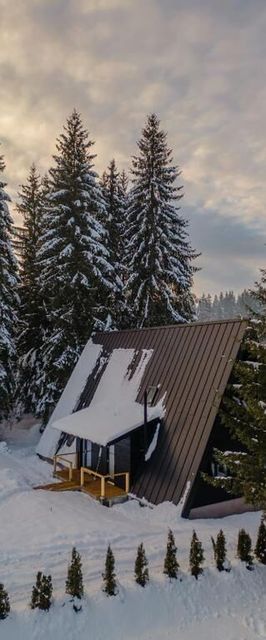 Black Raven Cabin Toplița