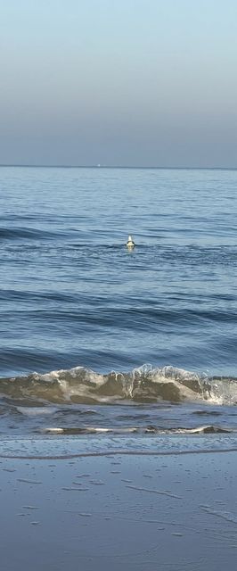 Pokoje Gościnne Maria Ostrowo