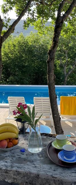 Nyaralóház Medencével Grubine, Zagora - 22263 Grubine