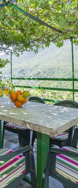 Apartment Feel the nature Slime