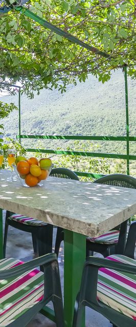 Apartment Feel the nature Slime